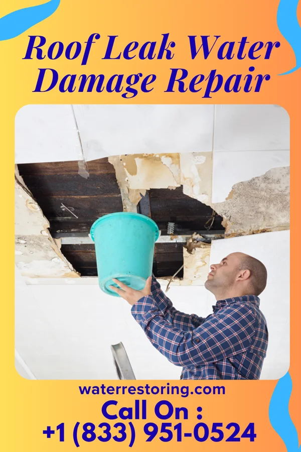 Roof Leak Water Damage Repair in Udell, IA
